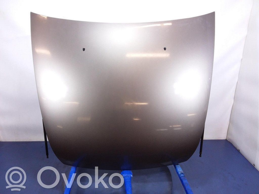 Motorhaube