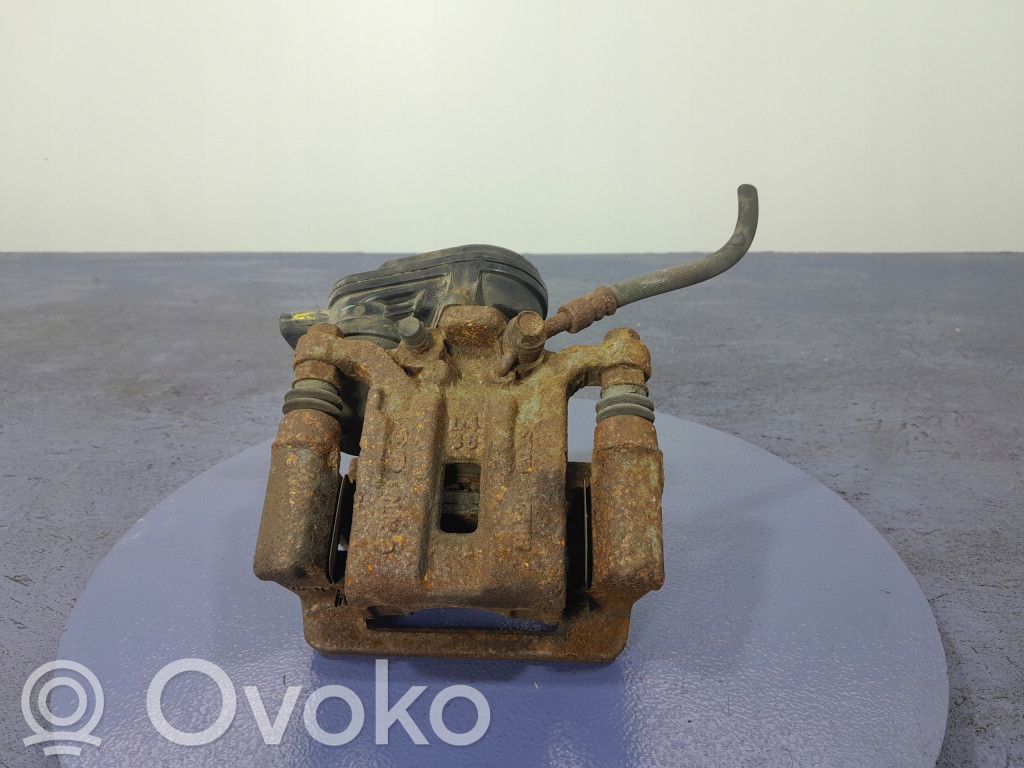 Takajarrusatula   A558237700,A558237700