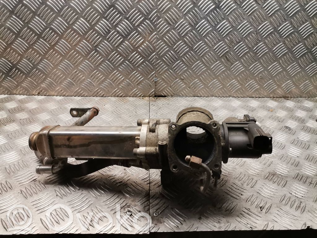 Volvo C30 Válvula EGR 