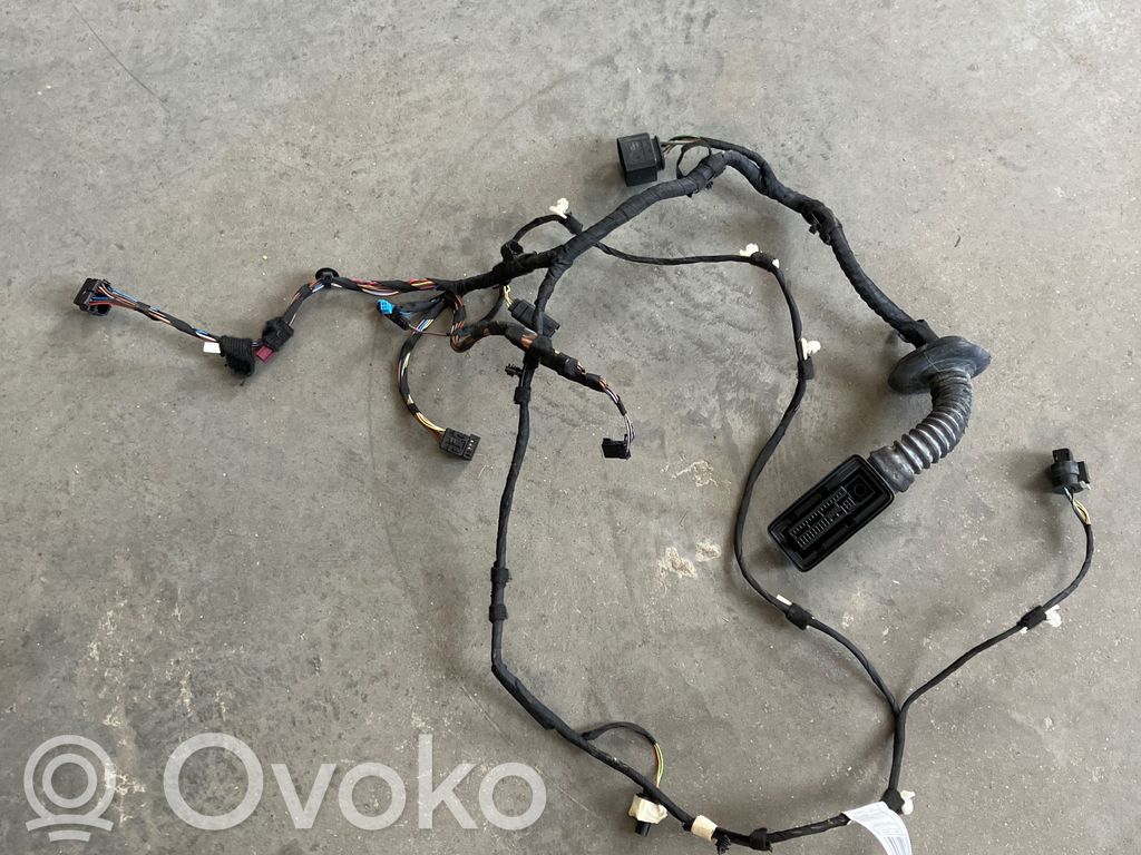 BMW X5 F15 Cablaggio porta anteriore 