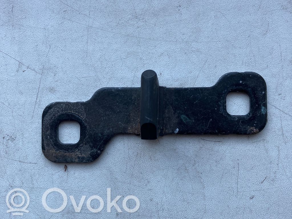 Trunk lock loop   7248076