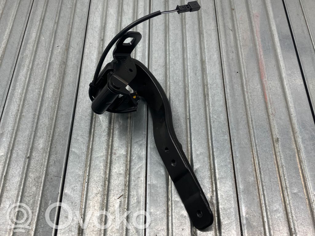 Tailgate/trunk/boot hinge   7296773