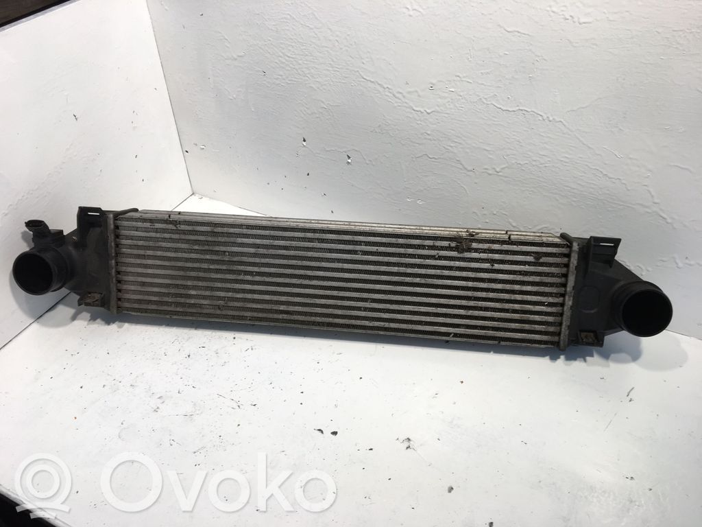 Interkūlerio radiatorius   31273910,M144594