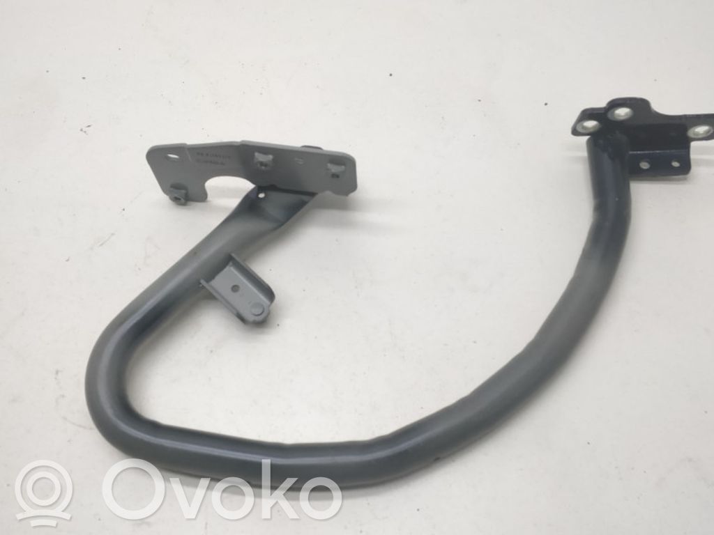 Tailgate/trunk/boot hinge   31349170