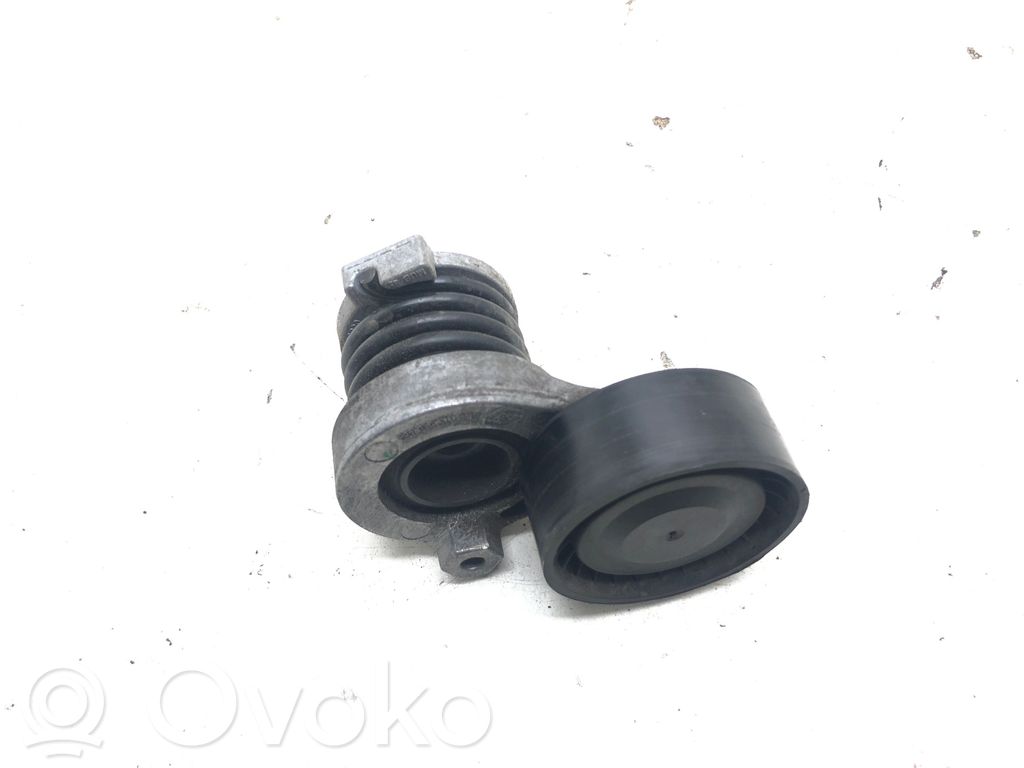 Renault Megane III Generator/alternator belt tensioner 