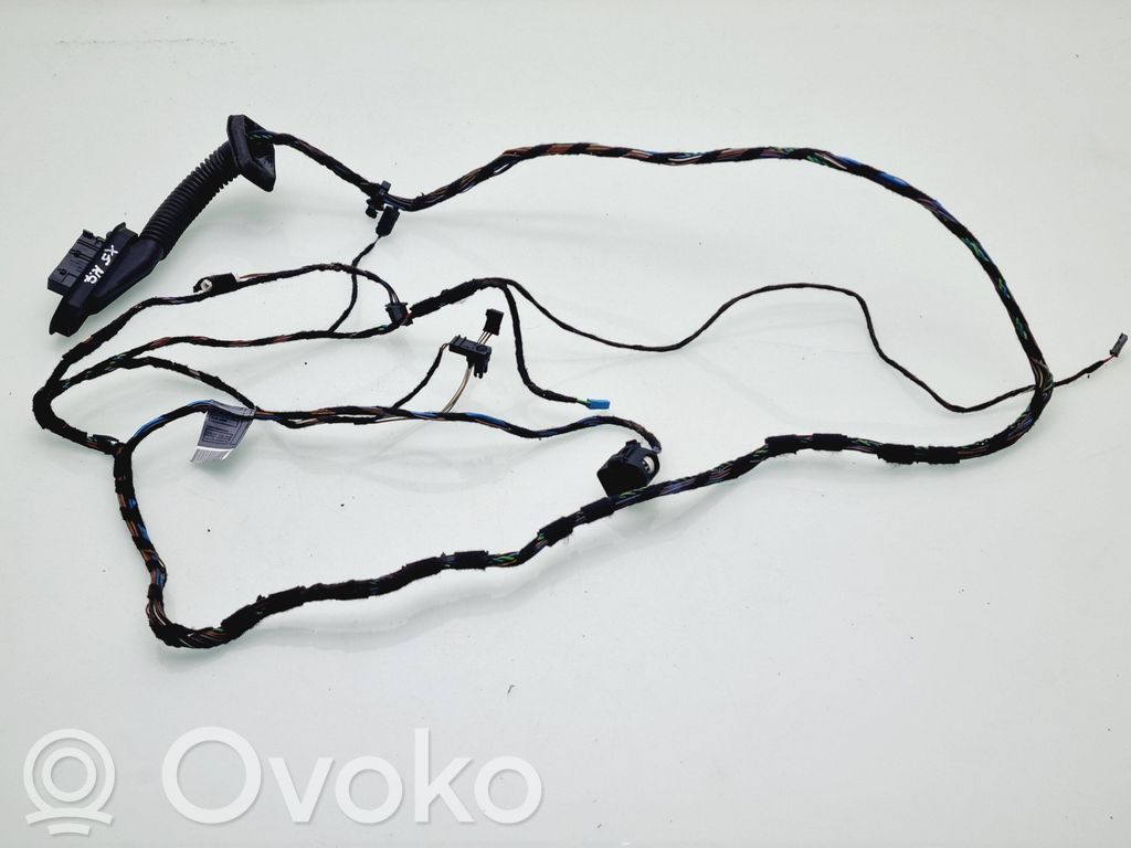 BMW X5 E70 Rear door wiring loom 