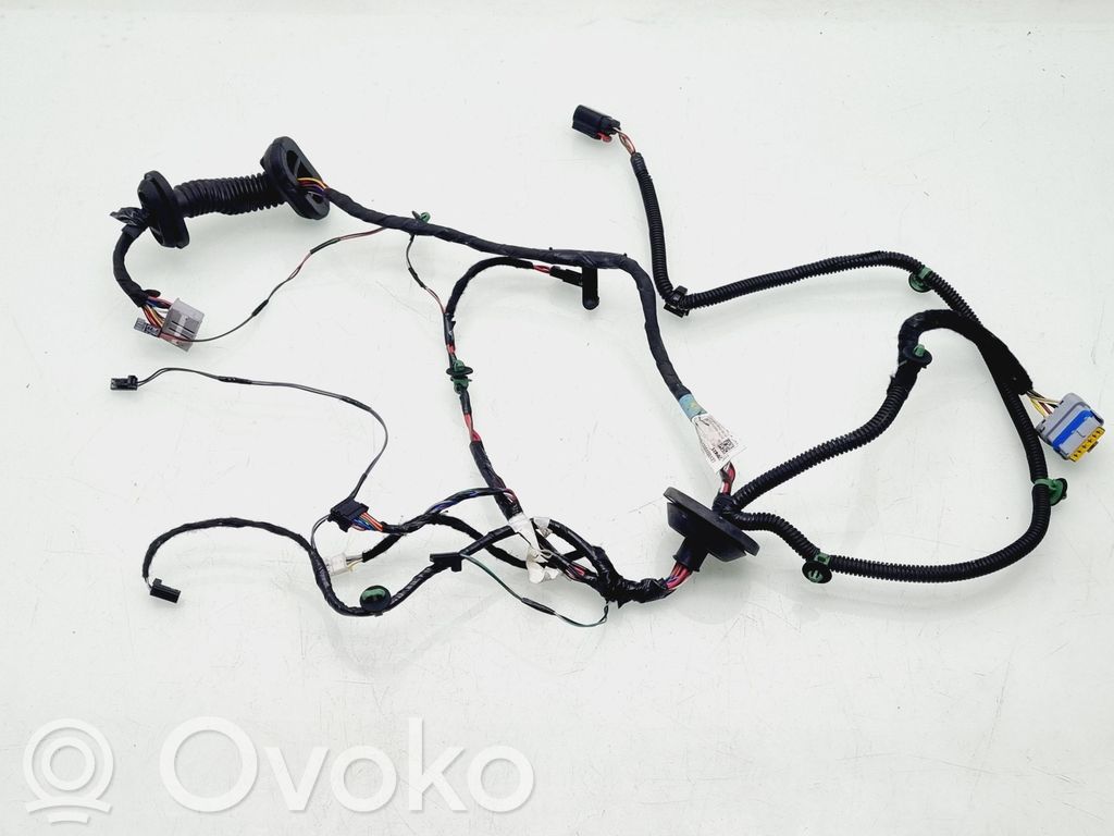 Cableado de puerta trasera   100442500Q,100442500V