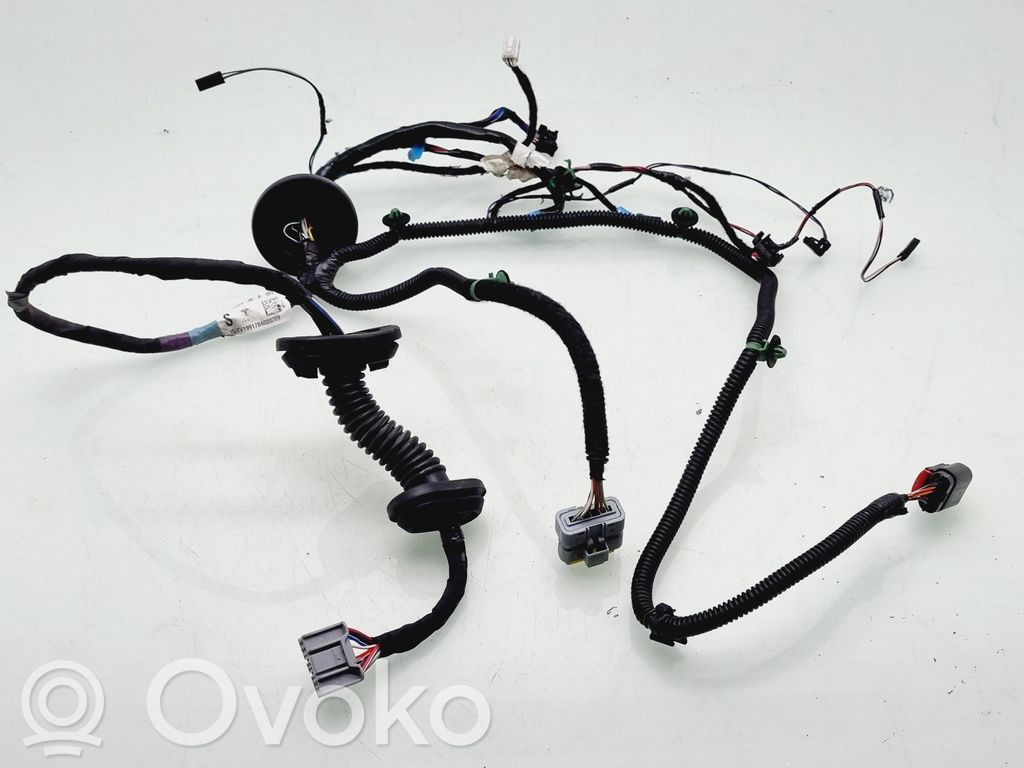 Tesla Model S Cableado de puerta trasera 