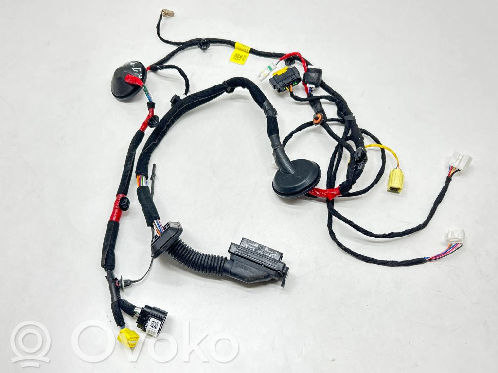 KIA EV6 Cableado de puerta delantera 