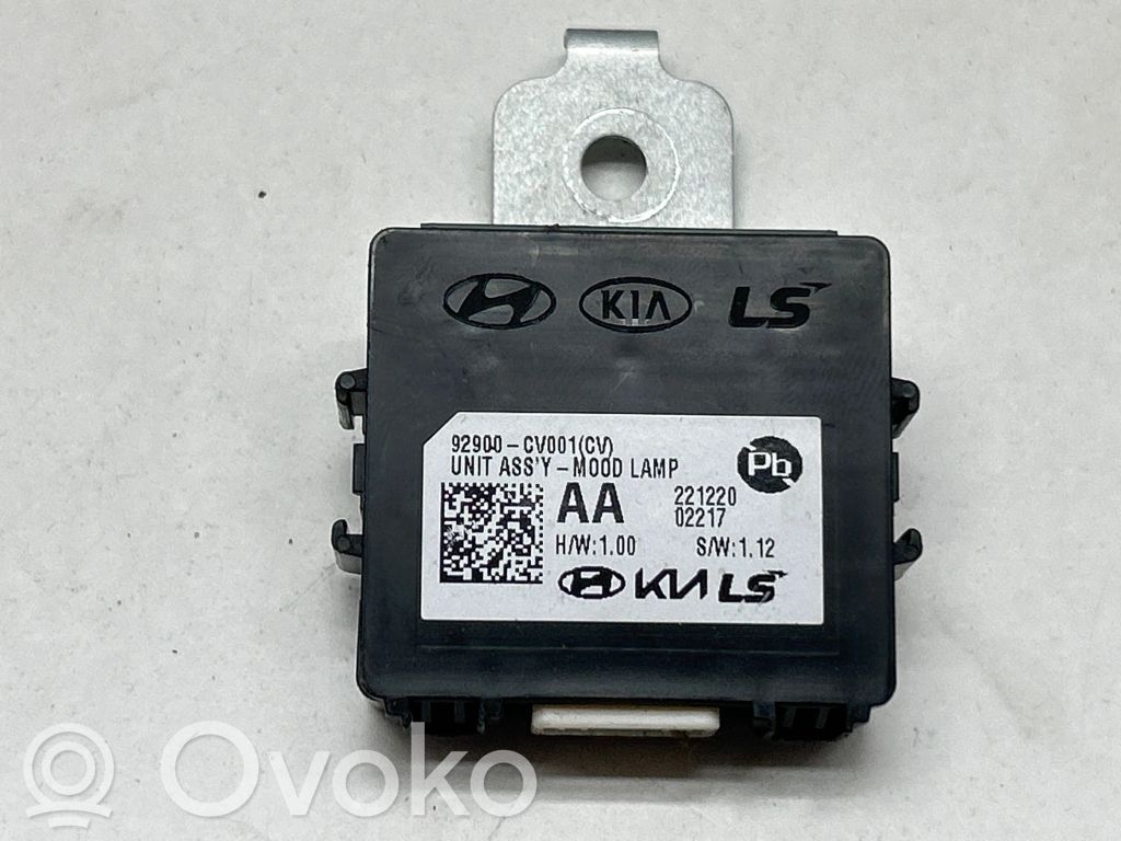 Light module LCM   92900CV001,221220,02217