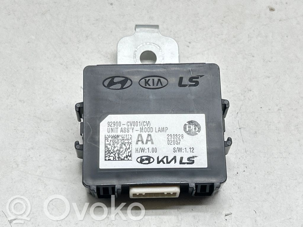 Module d'éclairage LCM   92900CV001,230328,02057