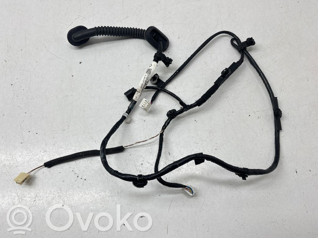 Subaru Outback (BT) Cableado de puerta trasera 