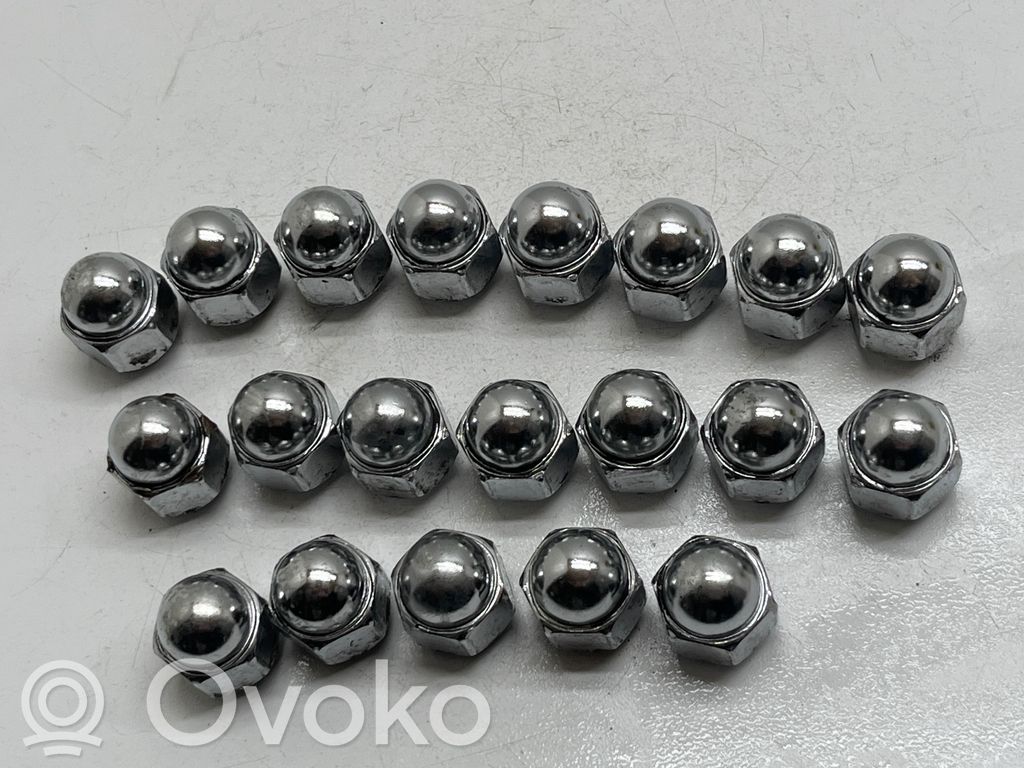 Mutterit/pultit   28171AJ001,28171AG000,623006020