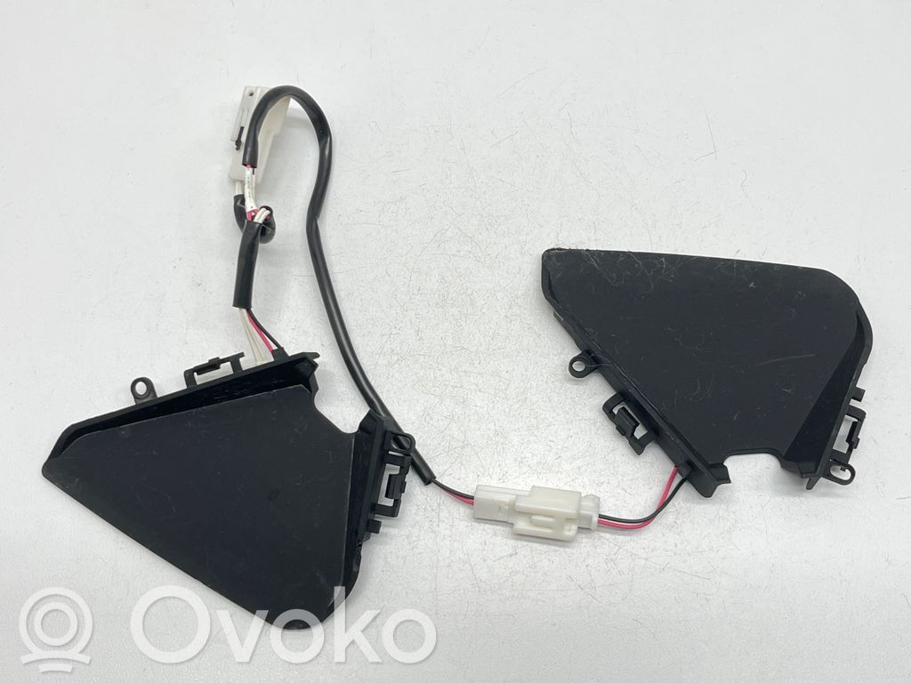 Subaru Outback (BT) Altri dispositivi 