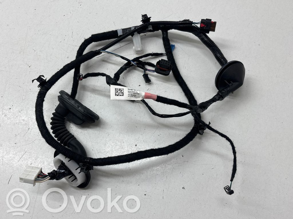 Cableado de puerta trasera   206796500B,YZK22118482025D