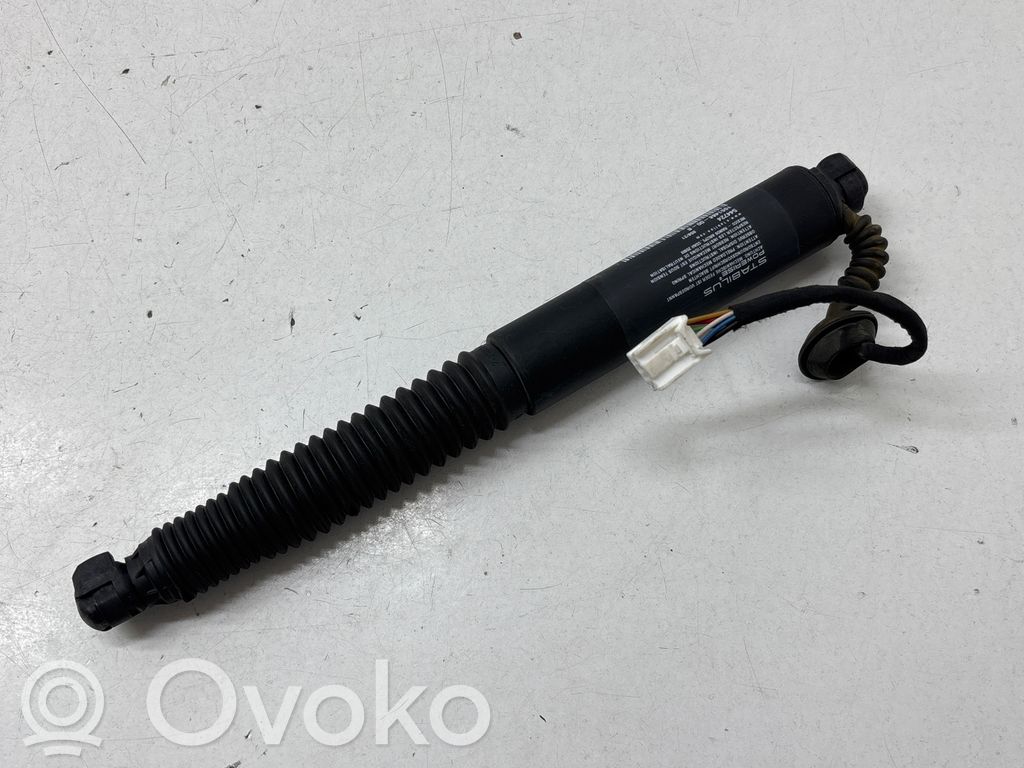 Tesla Model 3 Tailgate/trunk strut/damper 