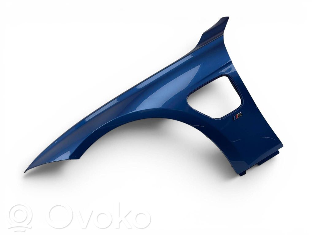 Błotnik przedni   41009623267,9623267