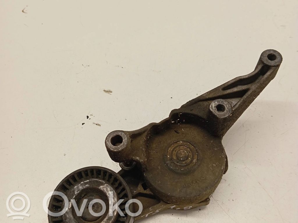 Volkswagen Transporter - Caravelle T5 Întinzător curea generator/alternator 