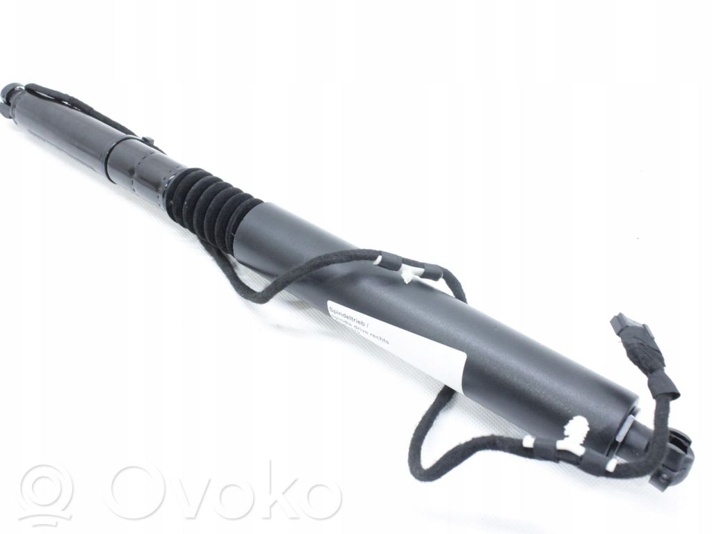 Tailgate strut   9451743