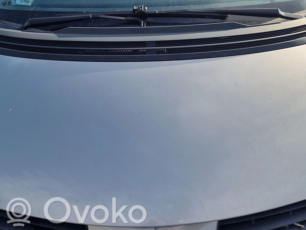 Motorhaube