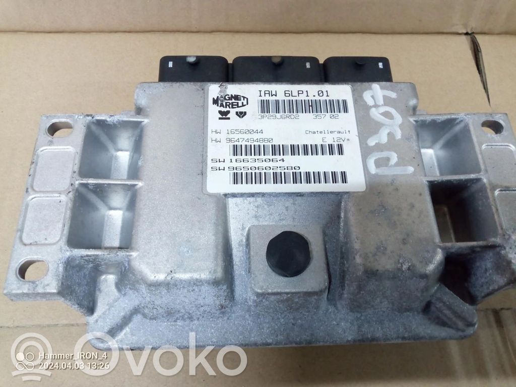 Other control units/modules   9647494880