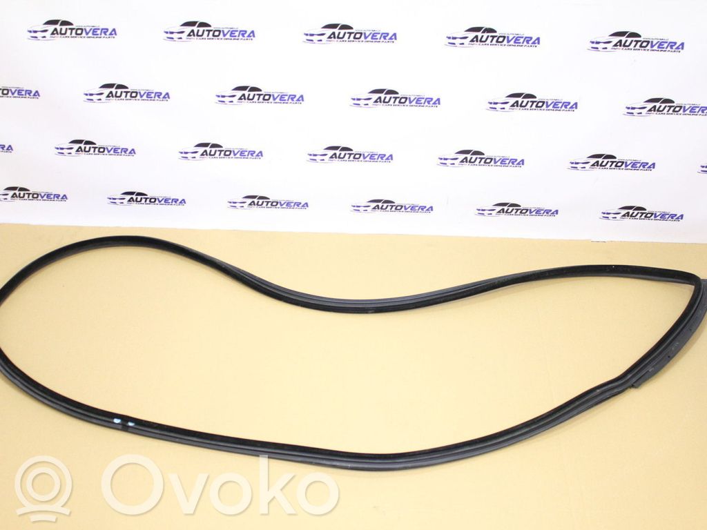 Front door rubber seal   7175784