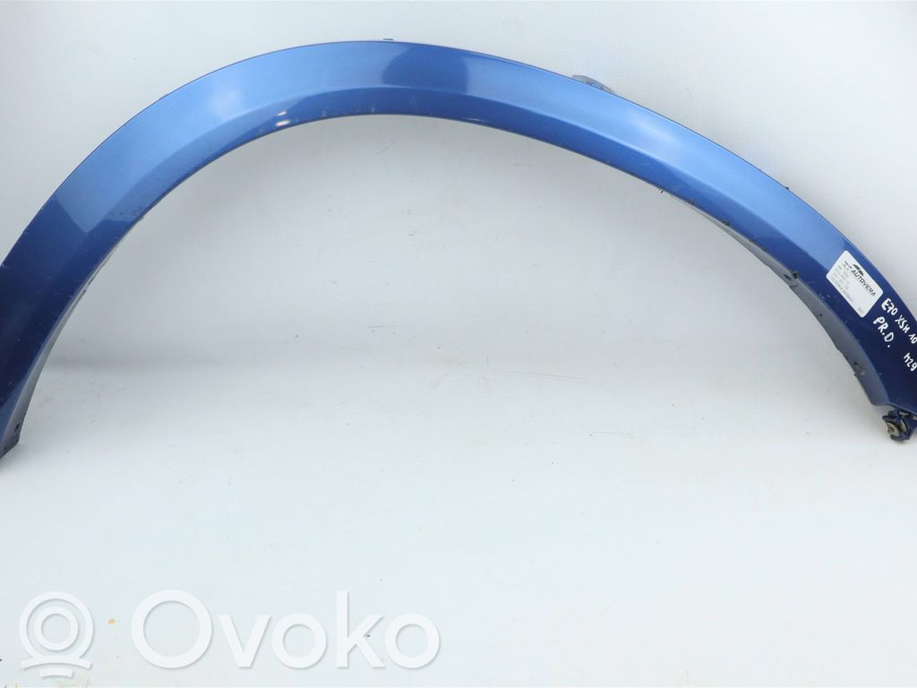 BMW X5M E70 Front arch trim 