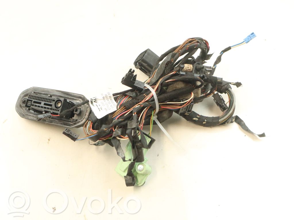 BMW X6 M Cableado de puerta delantera 