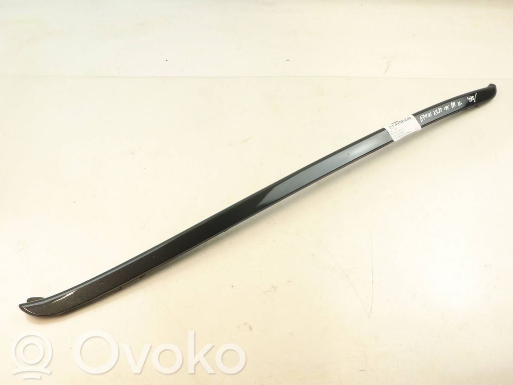 BMW X6 M Windshield trim 