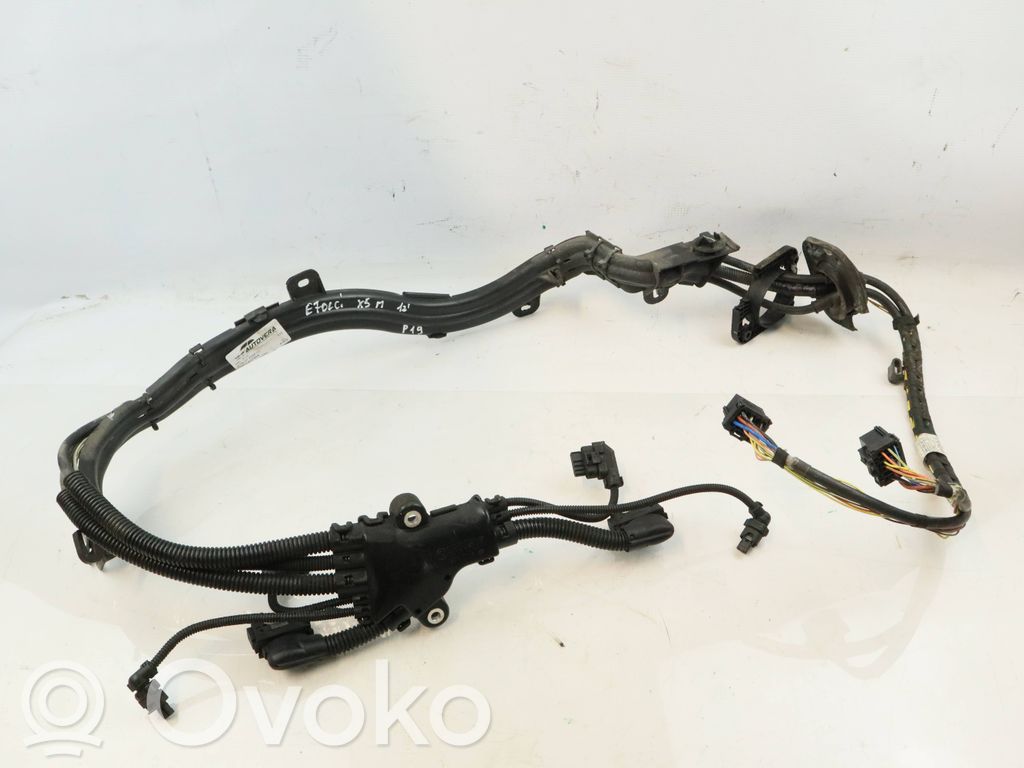 BMW X5 E70 Otros cableados 