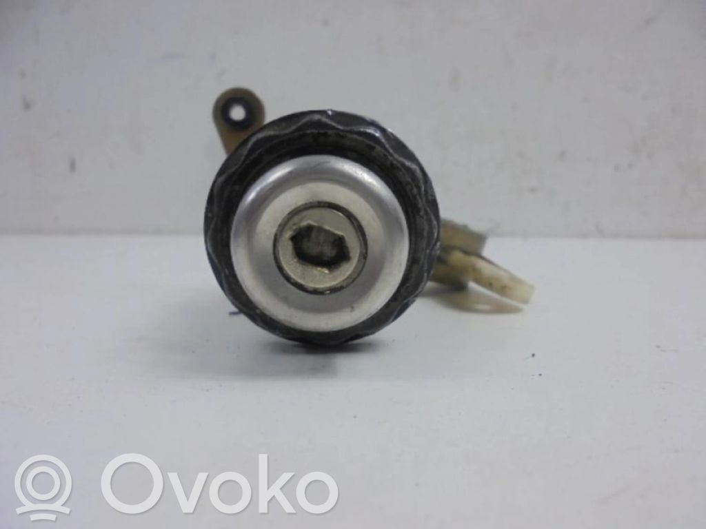 Ford Sierra Užrakinimo spynelė (prie rankenos) 