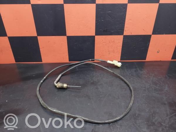 Fiat Ducato Exhaust gas temperature sensor 
