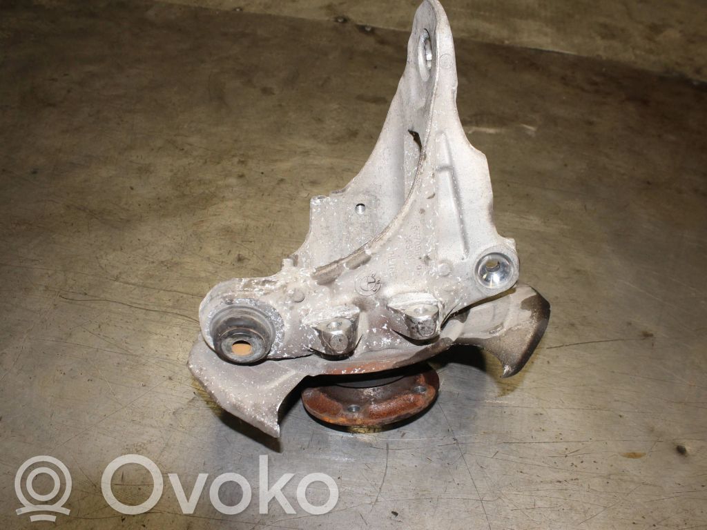 Galinė stebulė   6770981