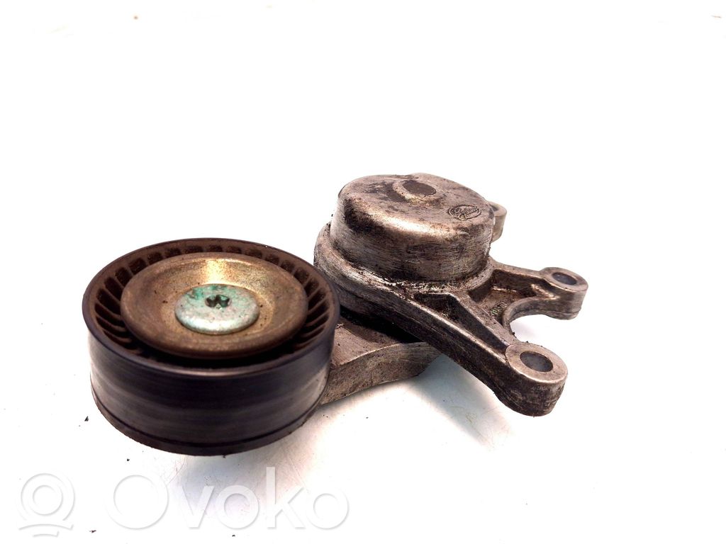 BMW X1 E84 Napinacz paska alternatora 
