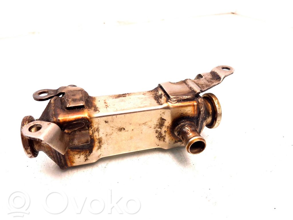 BMW 3 E46 EGR aušintuvas 