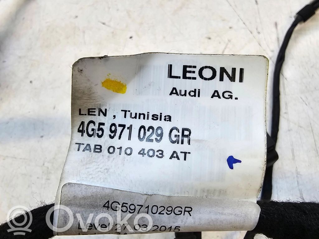 Autres faisceaux de câbles   4G5971029GR