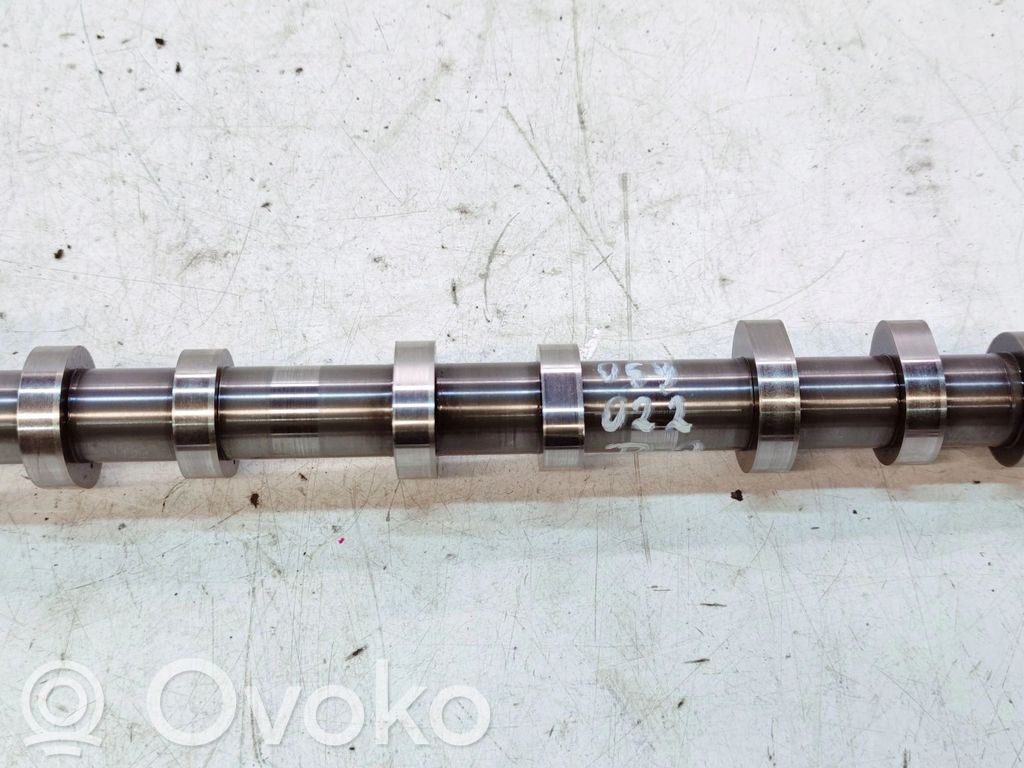 Sadales vārpsta   059022DQ