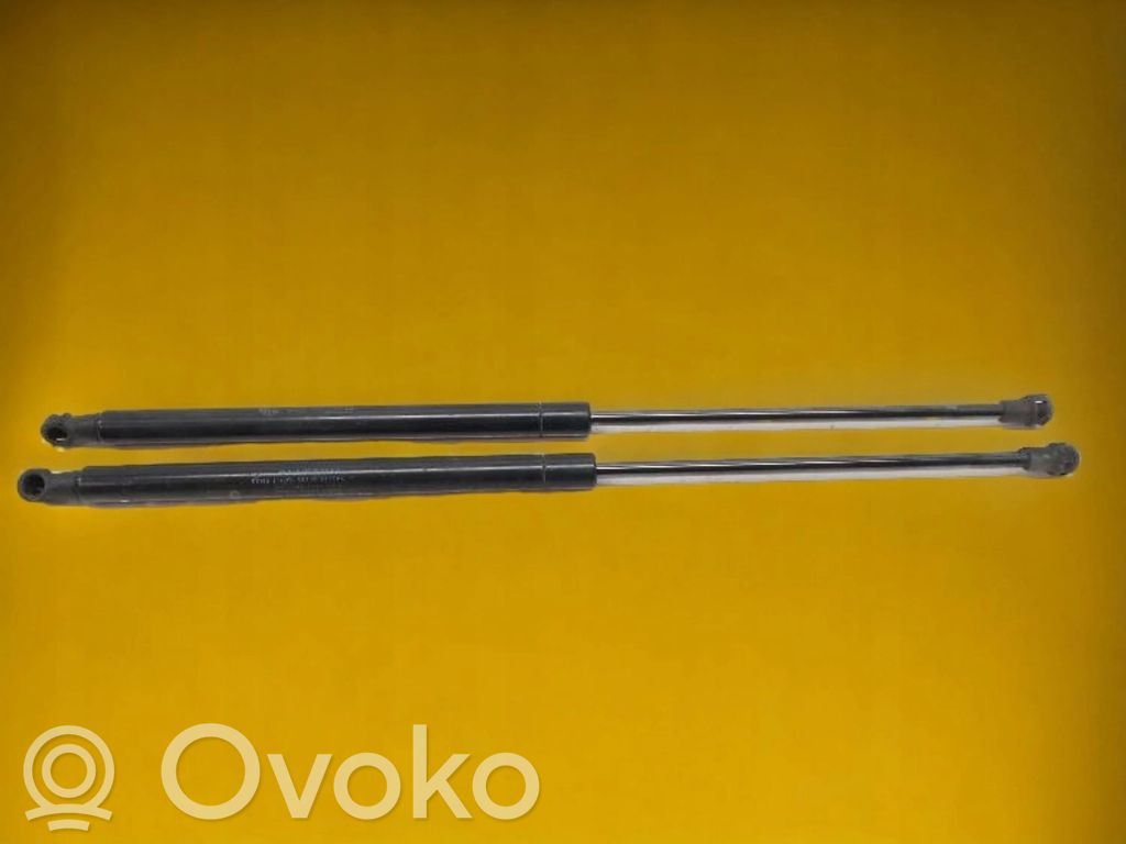 Siłownika klapy tylnej bagażnika   50509830,0410N,2549,ODM