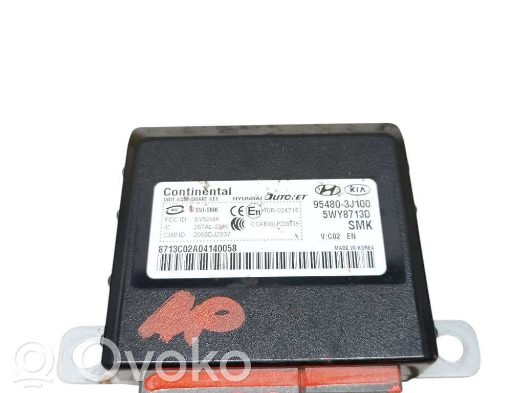 Alte unități/module de control   954803J100
