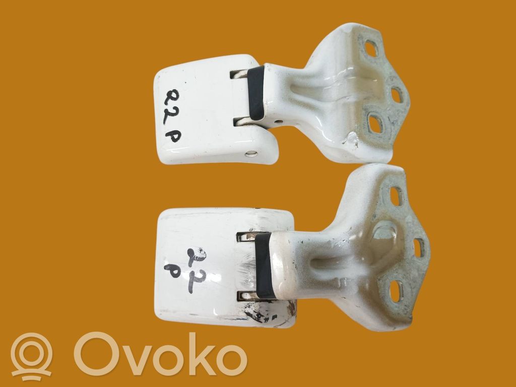 Peugeot Expert Front door hinges set 
