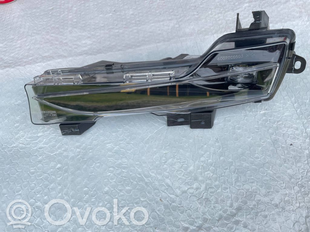 Tesla Model 3 Miglas lukturis priekšā 