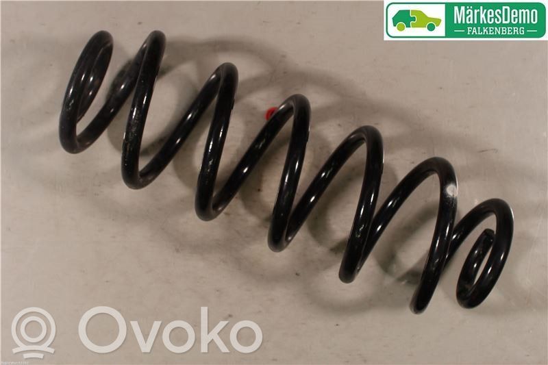 Rear coil spring