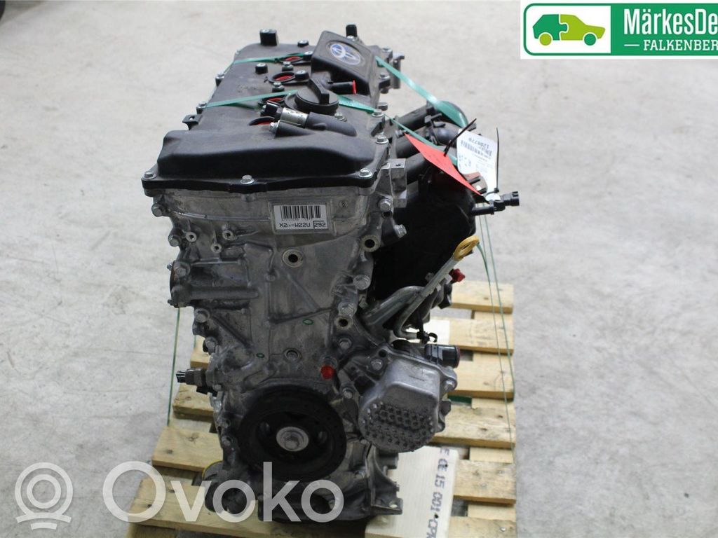 Toyota C-HR I Motor 