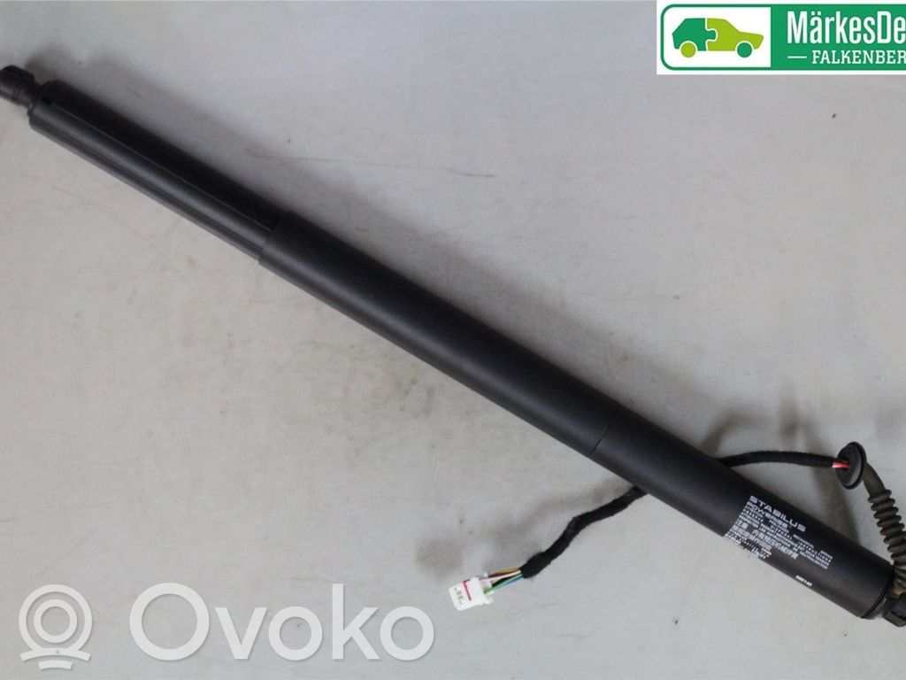 MG EHS Tailgate strut 