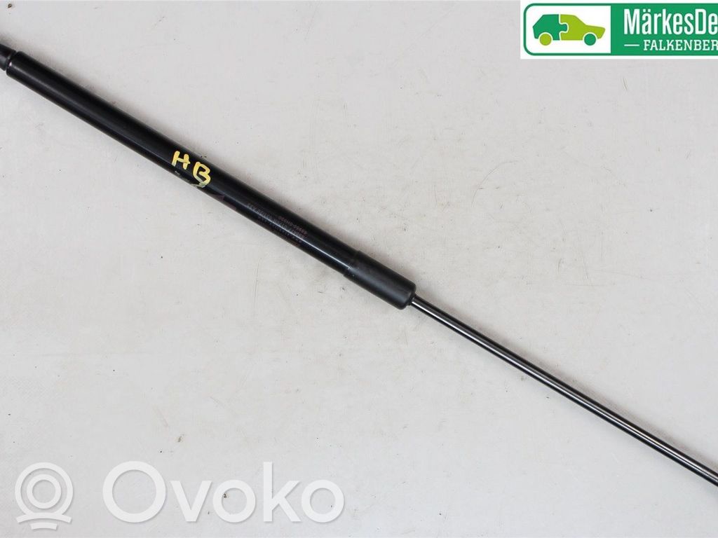 Toyota Aygo AB40 Puntone del portellone posteriore