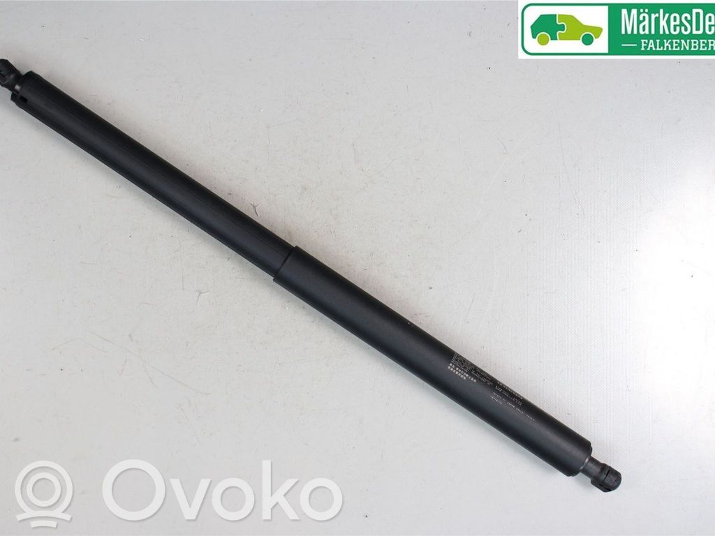 Tailgate strut   10416172,10416172,10416172