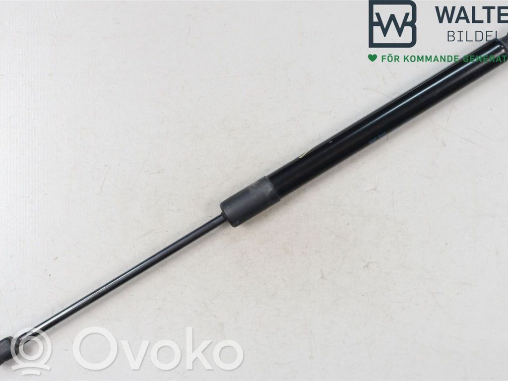 Audi Q3 8U Jambe de force de hayon
