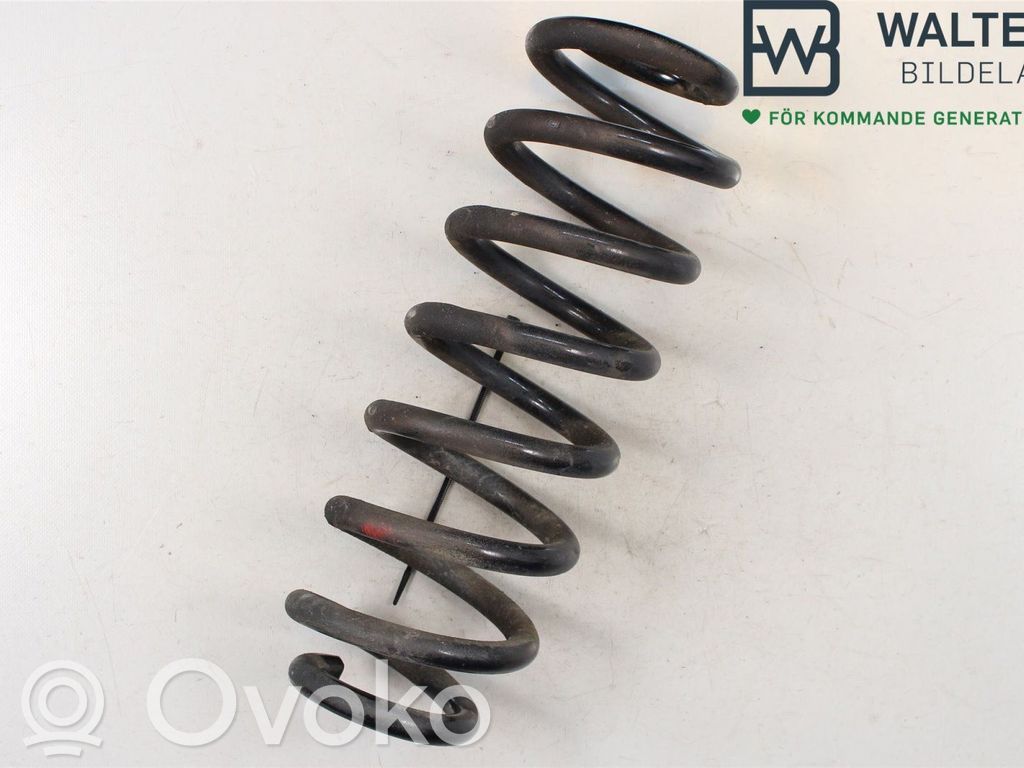 Feder hinten   10734026