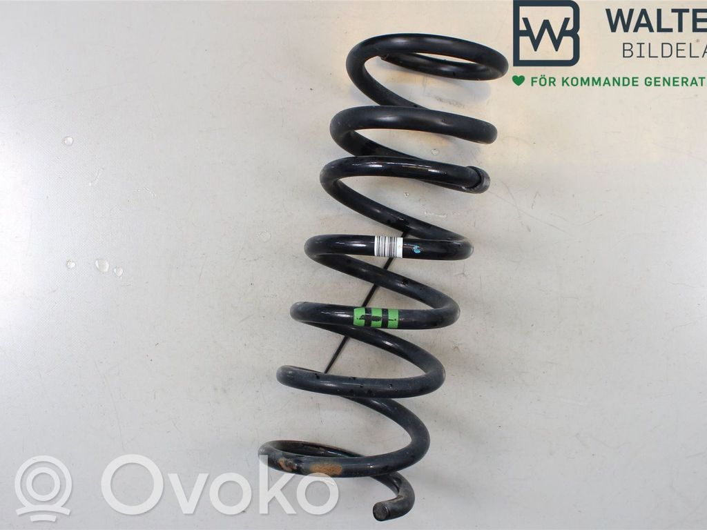 Rear coil spring