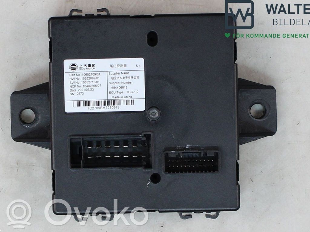 MG EHS Other control units/modules 